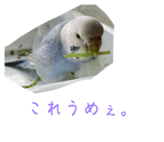 843954655