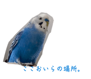 843954657