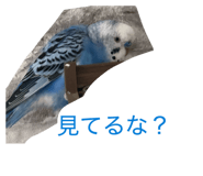 843954660