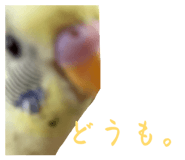 843954661