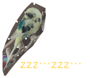 843954663