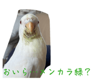 843954668