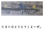 843954671