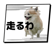 843955072