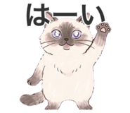 843955501