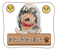 843955506