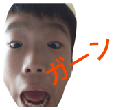 843955586