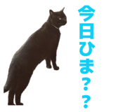 843955607
