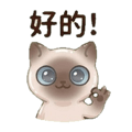 843955667