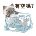 843955668