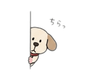 843955813