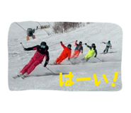 843956152