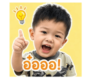 843956686