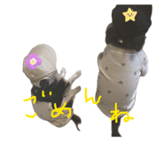 843957554