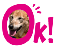 843957674