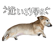 843957697