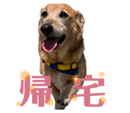 843957698