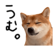843957897