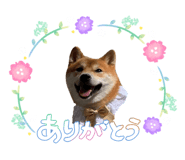 843957898