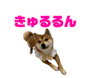 843957909