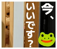 843957954