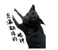 843958846