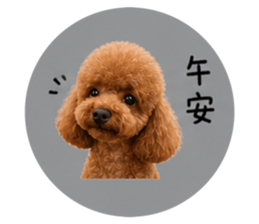 843960331