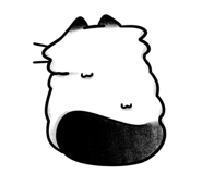 843962164