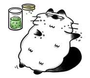 843962179