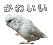 843962377