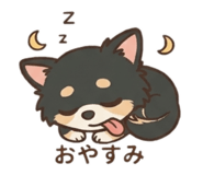 843962733