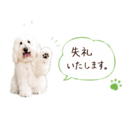 843963831