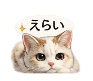 843964450