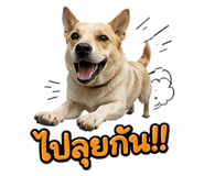 843964589