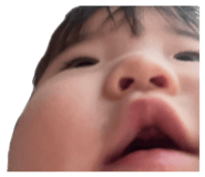 843964651
