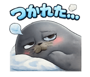 843964856