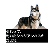 843964933