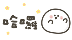 843965081