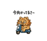843965284