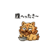 843965292