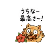 843965294
