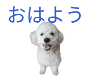843965426