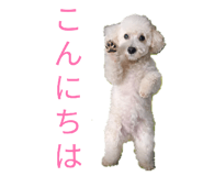 843965427