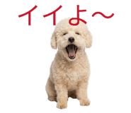 843965435