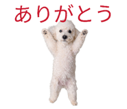 843965436