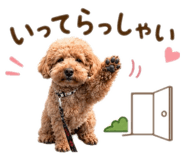 843965468