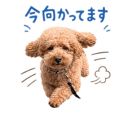 843965469