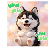843965621