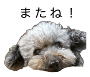 843966023