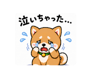 843966342